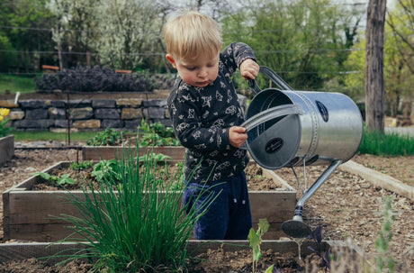 FREE! Step-by-step guide to building a veggie raised bed