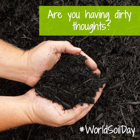 IT'S WORLD SOIL DAY!