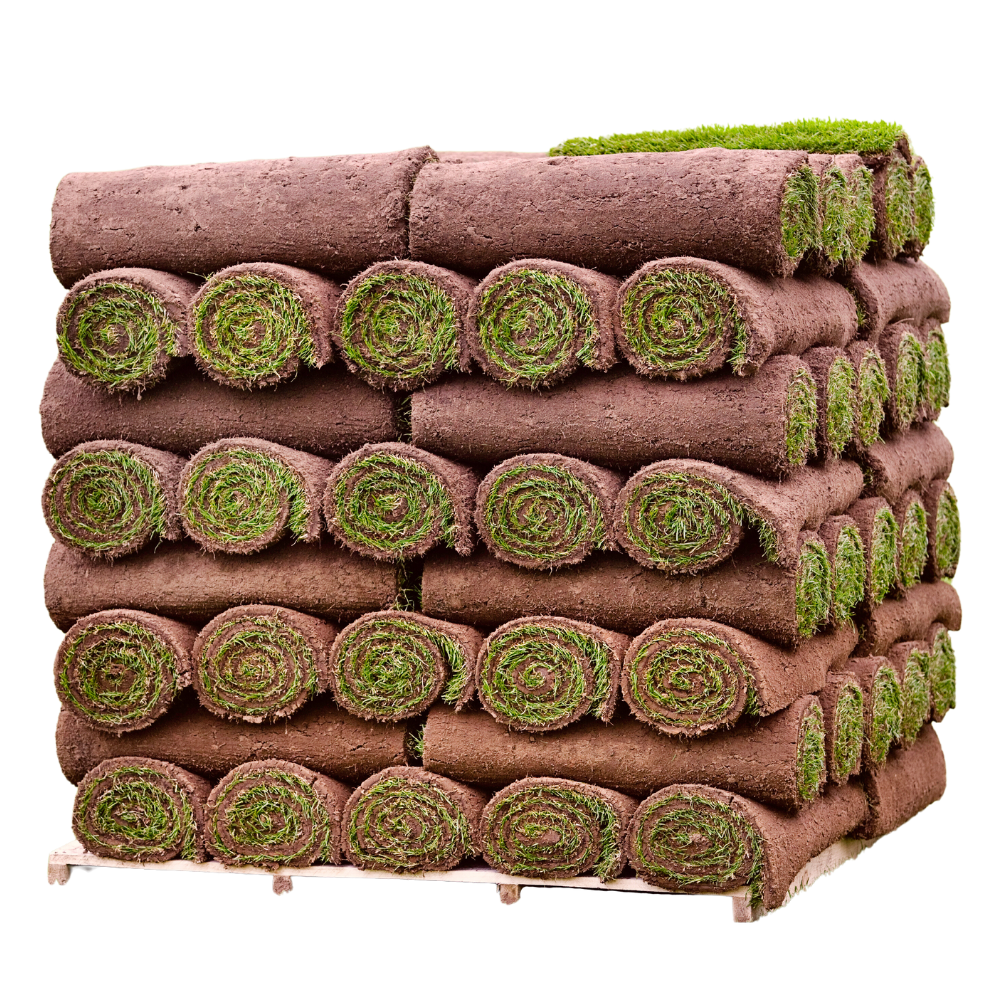 Click and Collect Lawn Turf m2 rolls - Special Offer (Collection only).