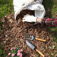 Dandy's Premium Border Bark for around plants and flowers