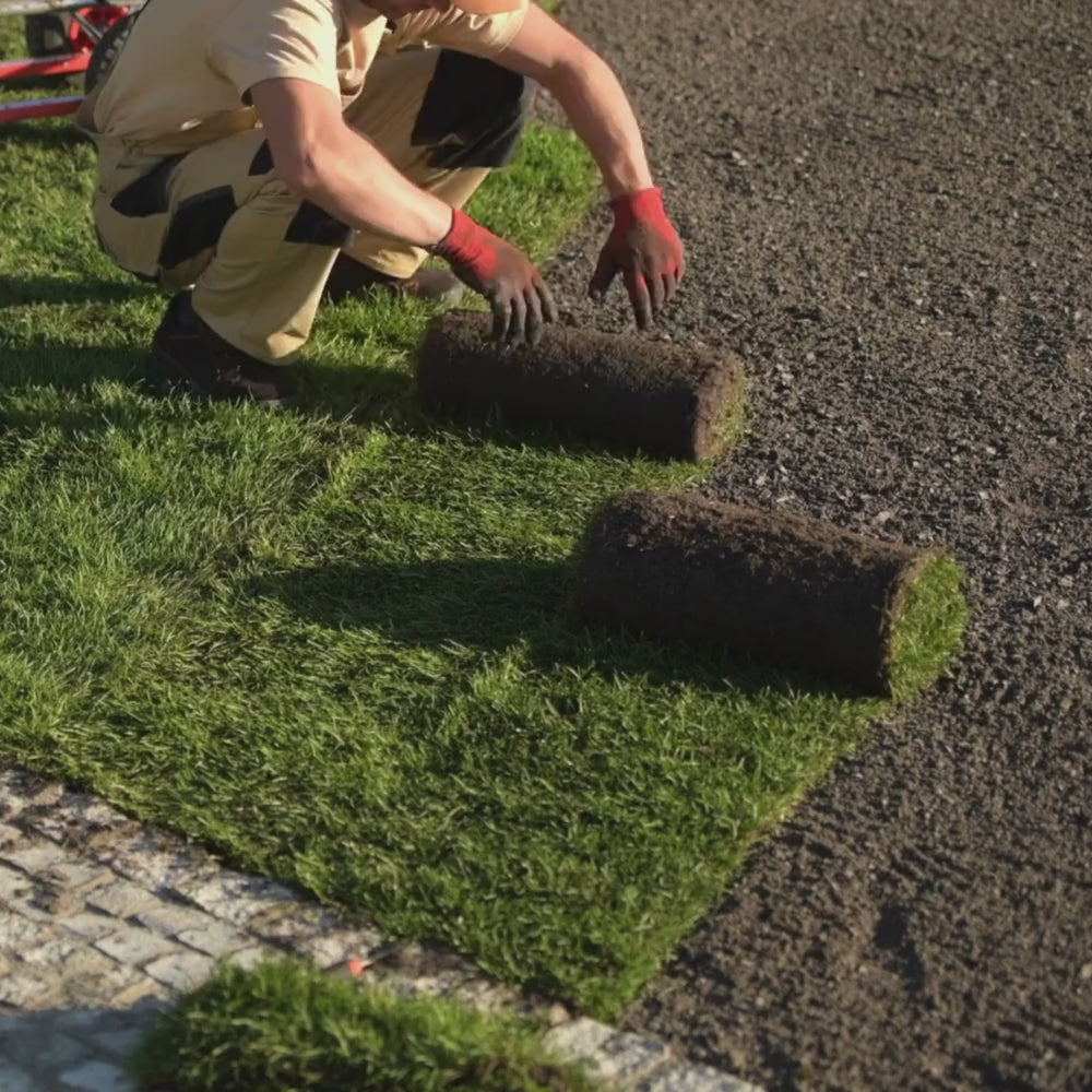 Dandy's Lawn Turf laying a new lawn