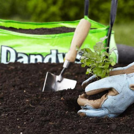 Dandys Multi-purpose Topsoil 