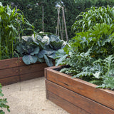 Grow Your Own "Raised Bed Kit"