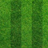 Click & Collect Lawn Turf m2 rolls - SPECIAL OFFER, COLLECTION ONLY!! | Dandys 